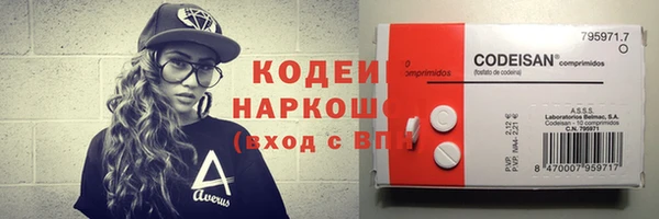 бошки Няндома