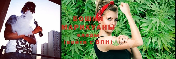 бошки Няндома