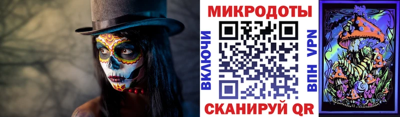 Галлюциногенные грибы Psilocybine cubensis  Коммунар 