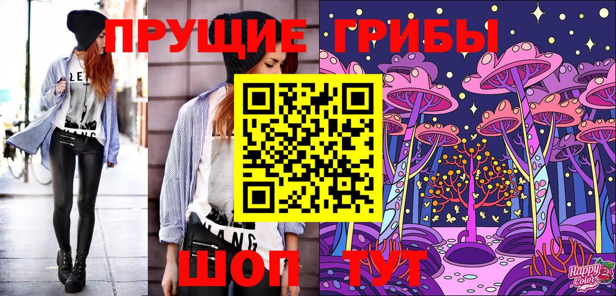 Галлюциногенные грибы Psilocybe  Коммунар 