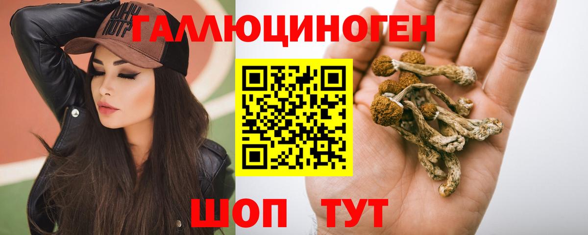 Галлюциногенные грибы GOLDEN TEACHER Коммунар